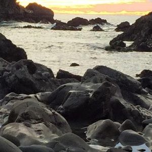 Meet your Posher, Cecile